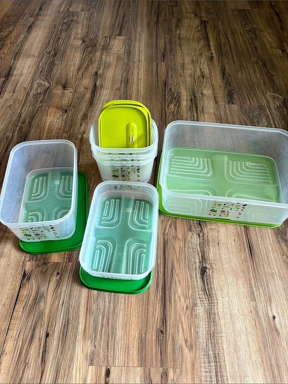 Tupperware FridgeSmart Containers Set Green & Clear